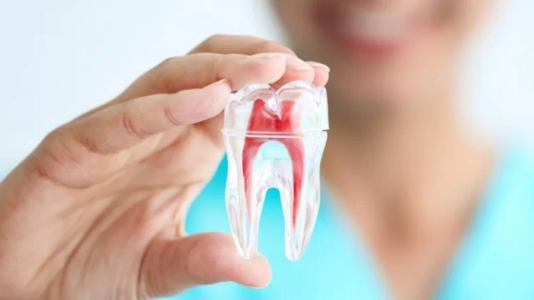 Lấy chỉ máu răng cho răng nhiều chân thường đòi hỏi sự tinh tế và kỹ thuật cao