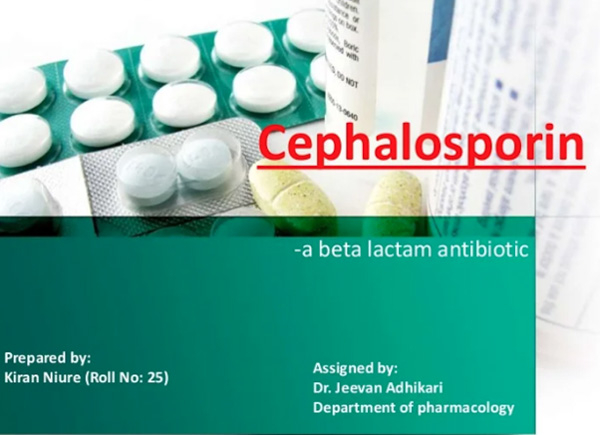 Cephalosporin là nhóm kháng sinh hữu ích khi vi khuẩn gây bệnh đã kháng lại Penicillin